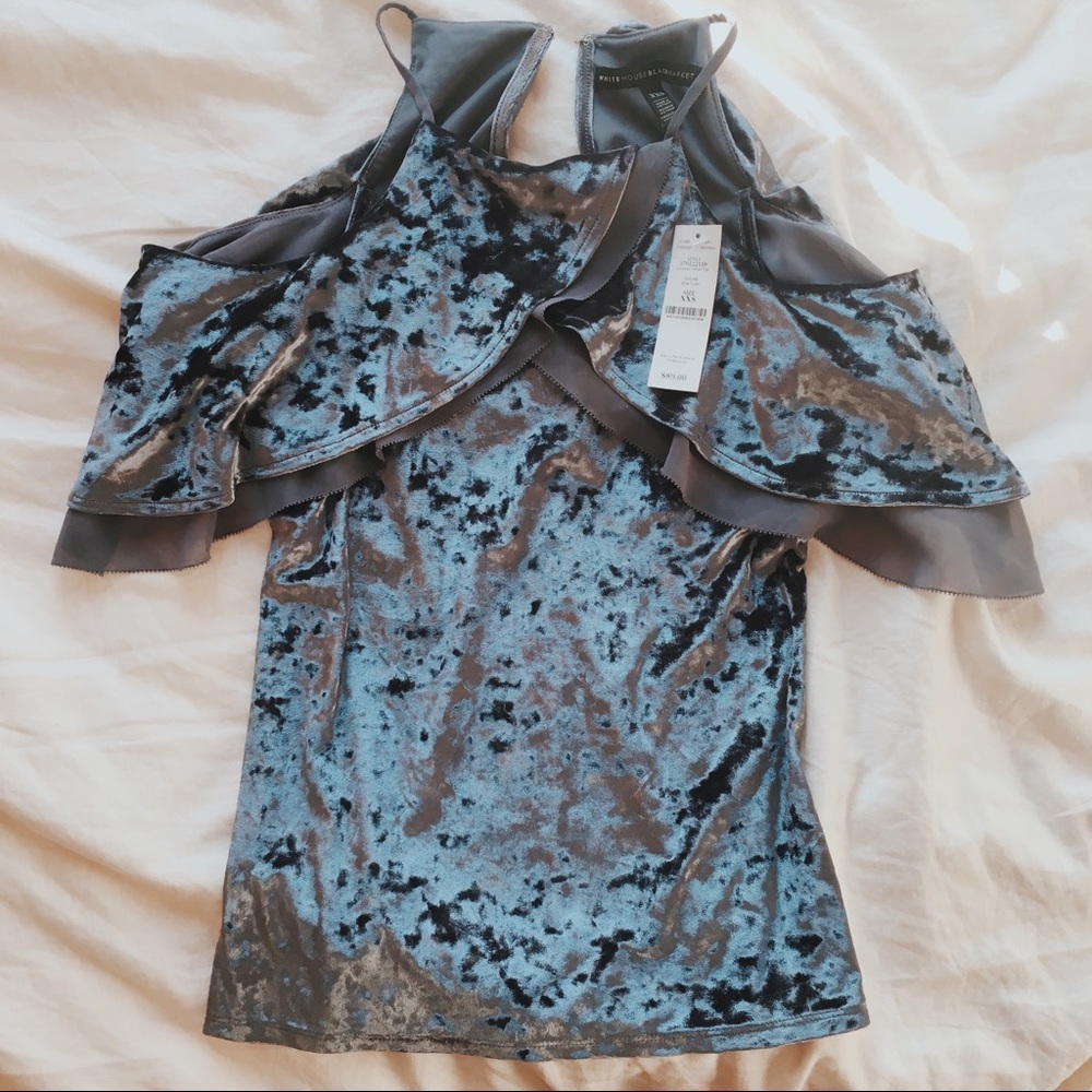 Beautiful Blue Velvet Blouse